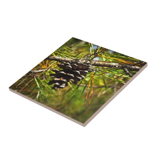 Pinecone Tegeltje (Zijkant)