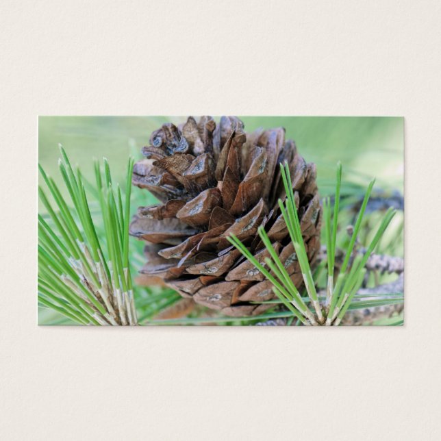 Pinecone Visitekaartje (Voorkant)