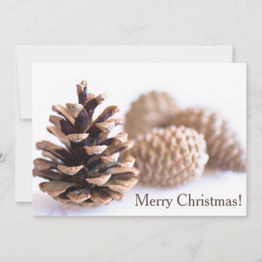 Pinecones Feestdagenkaart (Voorkant)