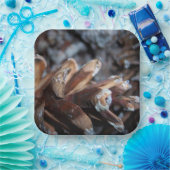 Pinecones Herfst Autumn Natuur Papieren Bordje (Feest)