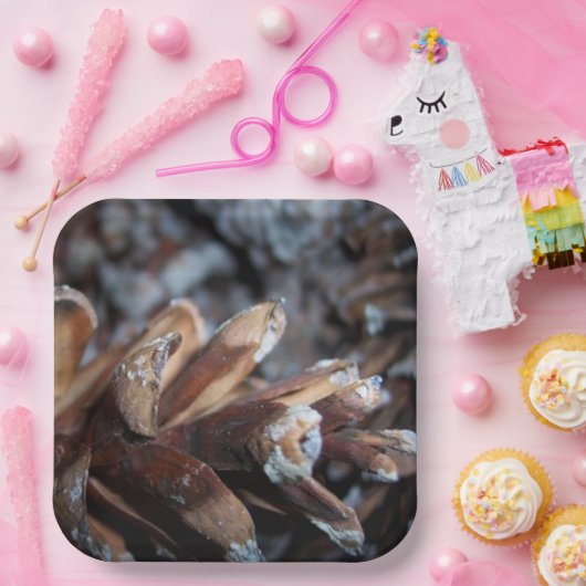 Pinecones Herfst Autumn Natuur Papieren Bordje (Feest)