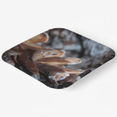 Pinecones Herfst Autumn Natuur Papieren Bordje (Gebogen)