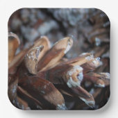 Pinecones Herfst Autumn Natuur Papieren Bordje (Voorkant)