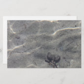 Pinecones in water (Voorkant / Achterkant)