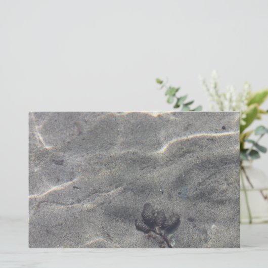 Pinecones in water (Staand voorkant)