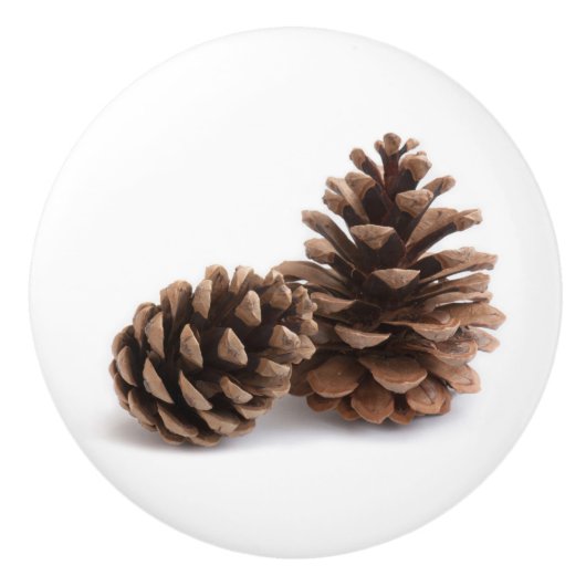 Pinecones Keramische Knop (Voorkant)