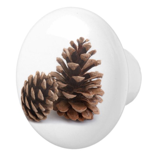 Pinecones Keramische Knop (Rechts)