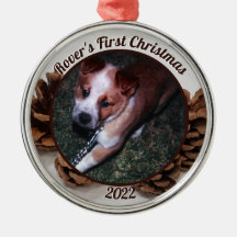 Pinecones Pet's eerste kerstfoto met jaar