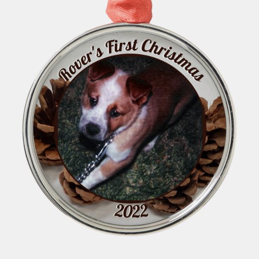 Pinecones Pet's eerste kerstfoto met jaar Metalen Ornament (Voorkant)