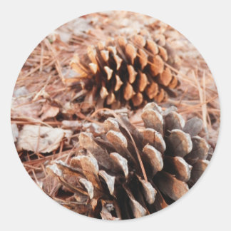 Pinecones Ronde Sticker