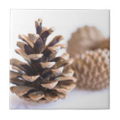 Pinecones Tegeltje (Voorkant)
