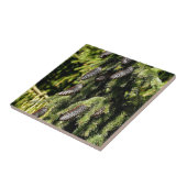 Pinecones Tegeltje (Zijkant)