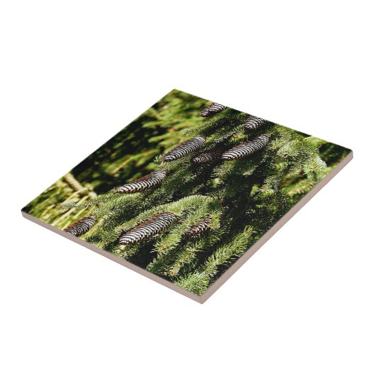 Pinecones Tegeltje (Zijkant)