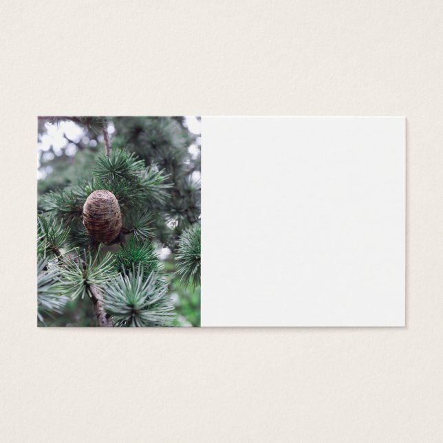 Pinecones Visitekaartjes (Voorkant)