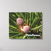 Pineflower Canvas Afdruk (Voorkant)