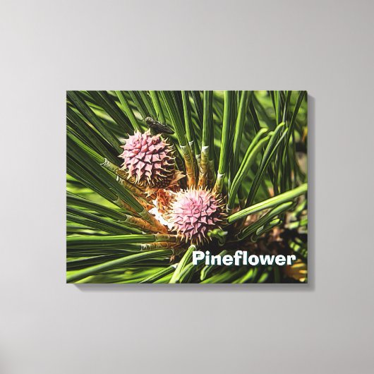 Pineflower Canvas Afdruk (Voorkant)