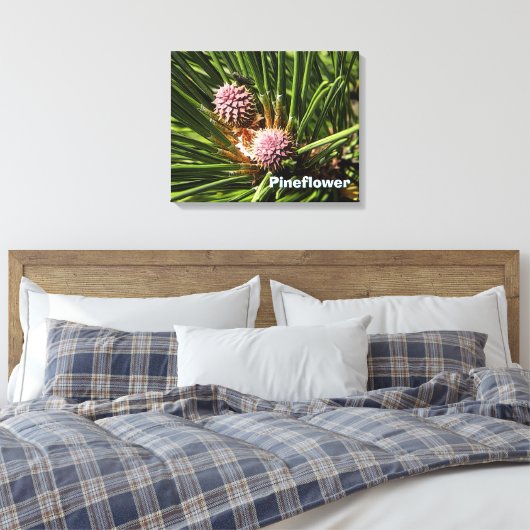 Pineflower Canvas Afdruk (Insitu (Slaapkamer))