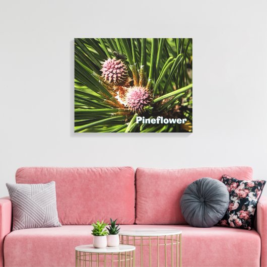 Pineflower Canvas Afdruk (Insitu (Woonkamer))