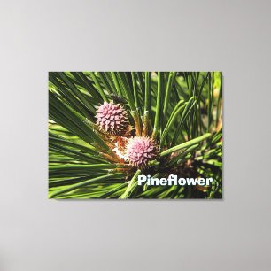 Pineflower Canvas Afdruk