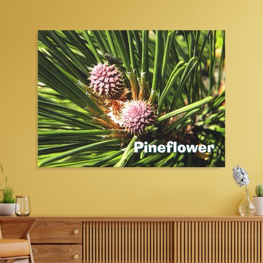 Pineflower Canvas Afdruk (Insitu (Woonkamer))