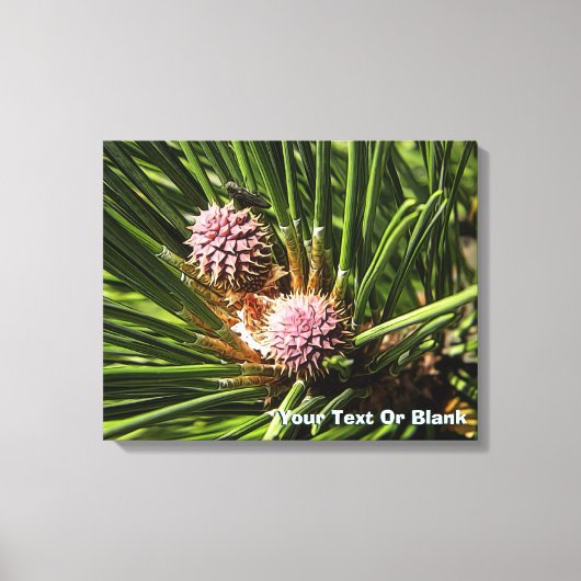 Pineflower Canvas Afdruk (Voorkant)
