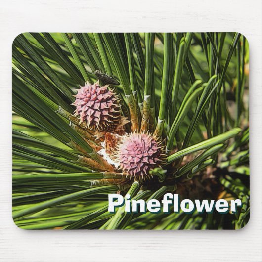 Pineflower Muismat (Voorkant)