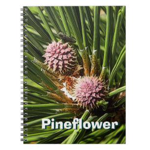 Pineflower Notitieboek