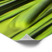 Pineflower Poster (Hoek)