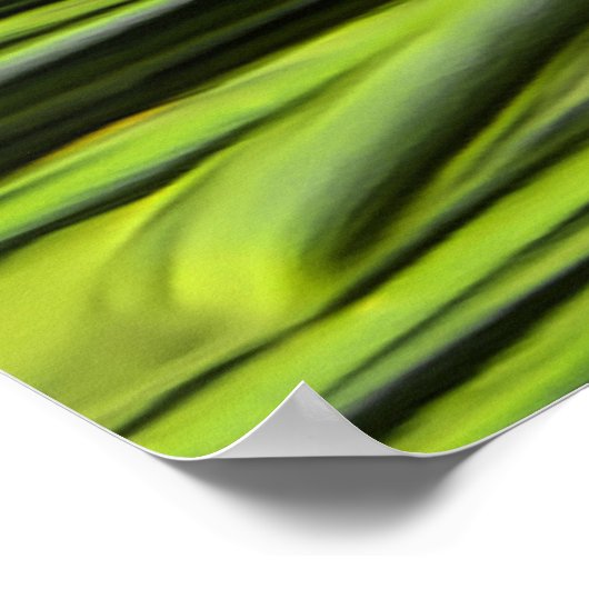 Pineflower Poster (Hoek)