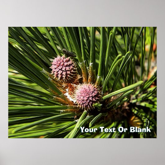 Pineflower Poster (Voorkant)