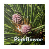 Pineflower Tegeltje (Voorkant)