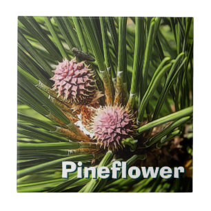 Pineflower Tegeltje