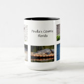 Pinella's County Florida Wildlife Mok (Midden)