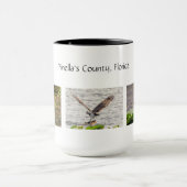 Pinella's County Florida Wildlife Mok (Midden)