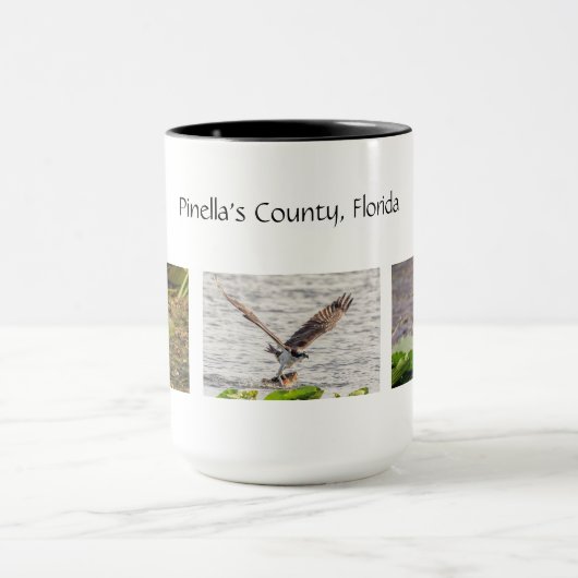 Pinella's County Florida Wildlife Mok (Midden)