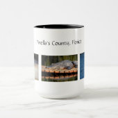 Pinella's County Florida Wildlife Mok (Midden)