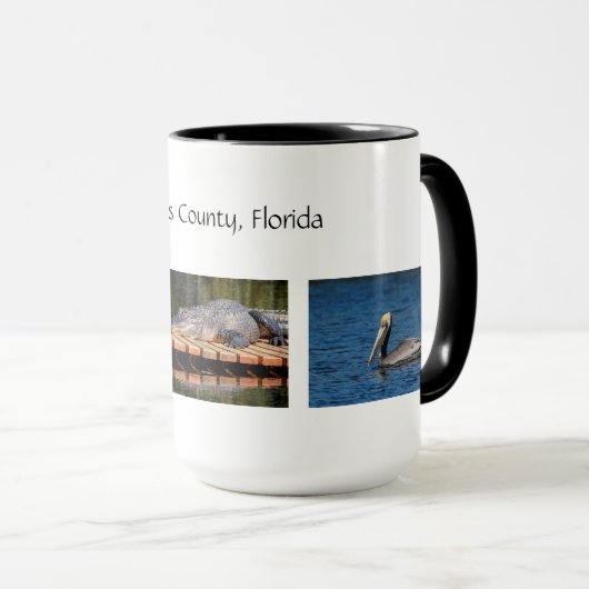 Pinella's County Florida Wildlife Mok (Voorkant rechts)