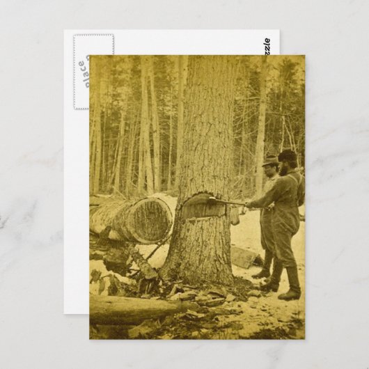 Pineries van Michigan Goodridge Brothers Saginaw M Briefkaart (Voorkant / Achterkant)