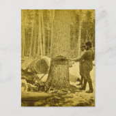 Pineries van Michigan Goodridge Brothers Saginaw M Briefkaart (Voorkant)