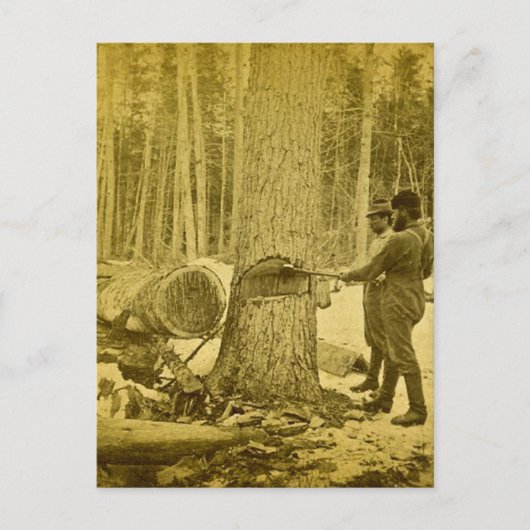 Pineries van Michigan Goodridge Brothers Saginaw M Briefkaart (Voorkant)