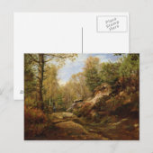 Pines & Berken Bomen of Het bos van Briefkaart (Voorkant / Achterkant)