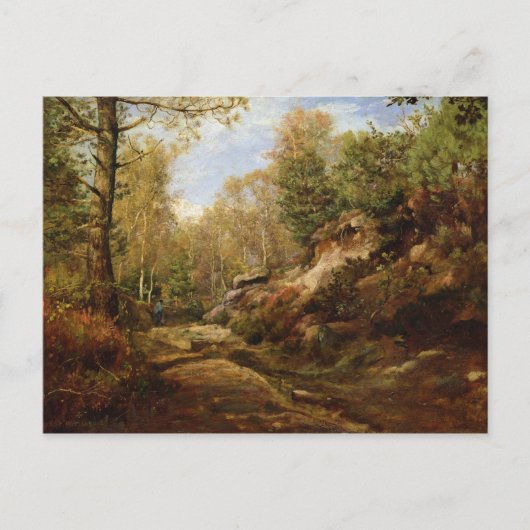 Pines & Berken Bomen of Het bos van Briefkaart (Voorkant)