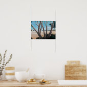 Pines near Pienza 2012 Poster (Keuken)