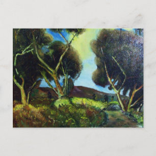 PINEWOOD IN TUSCANY BRIEFKAART