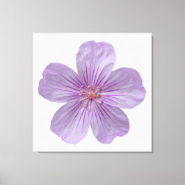Pineywood Geranium #1 Canvas Afdruk