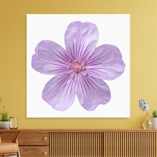 Pineywood Geranium #1 Canvas Afdruk (Insitu (Woonkamer))