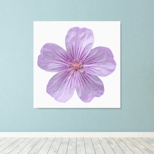 Pineywood Geranium #1 Canvas Afdruk (Insitu (Houten vloer))