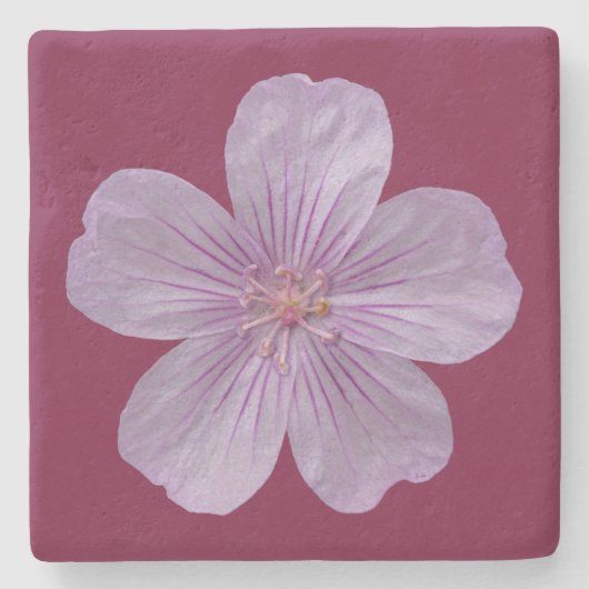 Pineywood Geranium #1 Stenen Onderzetter (Voorkant)