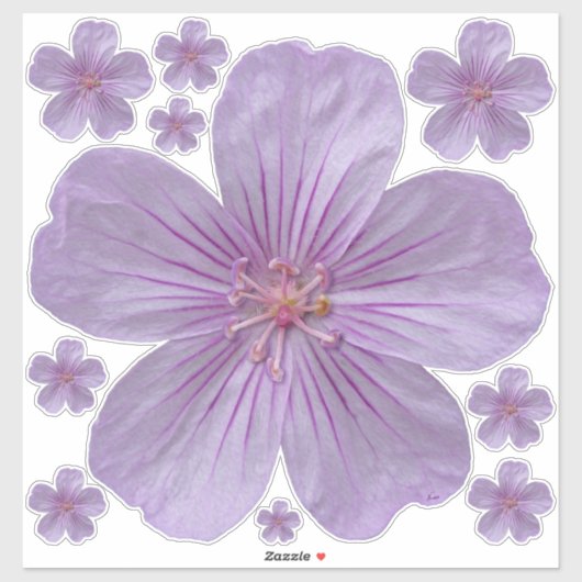 Pineywood Geranium #1 Sticker (Vel)