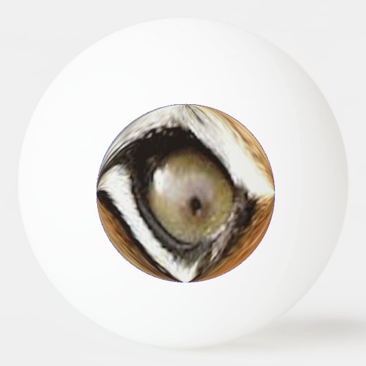 Ping Pong Ball - Tiger's Eye (Achterkant)